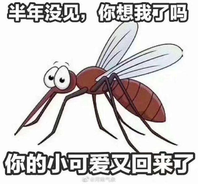 【康洁环保公司】夏天蚊子高发,害怕用蚊香有毒,试用这几种中药驱蚊
